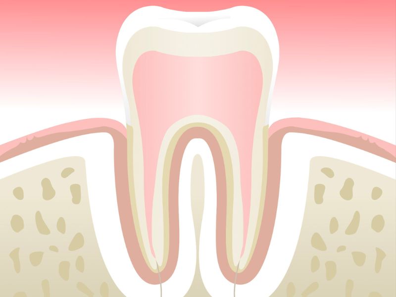 Dr Silviu Oratie - Dentiste Granville - Parodontologie